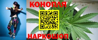 гашик Заводоуковск