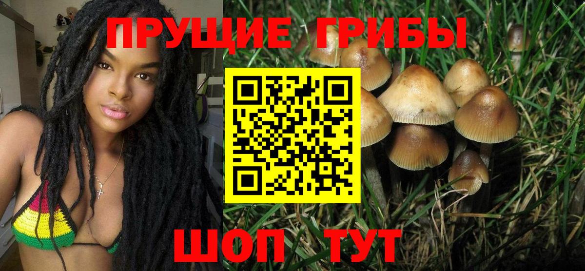 Галлюциногенные грибы Psilocybe Жуковский