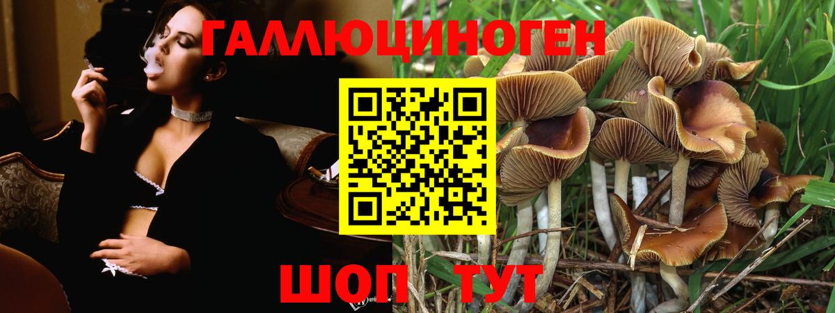 Жуковский  Псилоцибиновые грибы Magic Shrooms  продажа наркотиков  Вход с VPN 